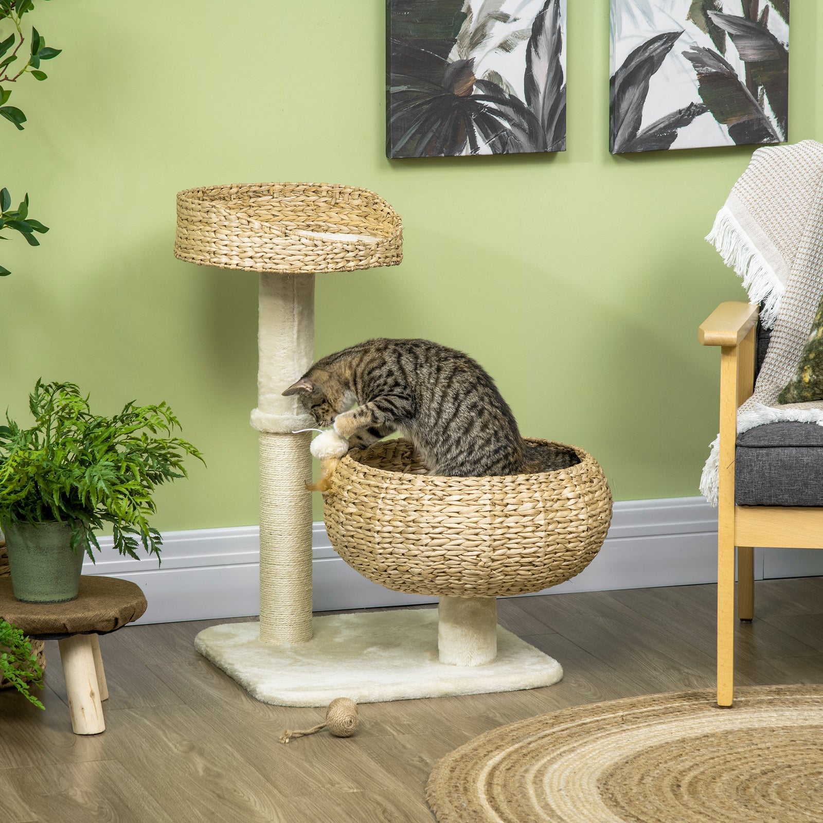 72cm Cat Tree Kitten Tower, with Sisal Scratching Post, Two Beds, Toy Ball