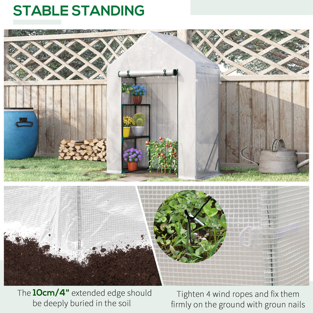 Walk In Greenhouse with 2 Tier Shelf, Portable Gardening Plant Grow House Tomato Greenhouse with Roll up Zip Panel Door, Reinforced PE Cover, 143 x 73 x 195cm, Green