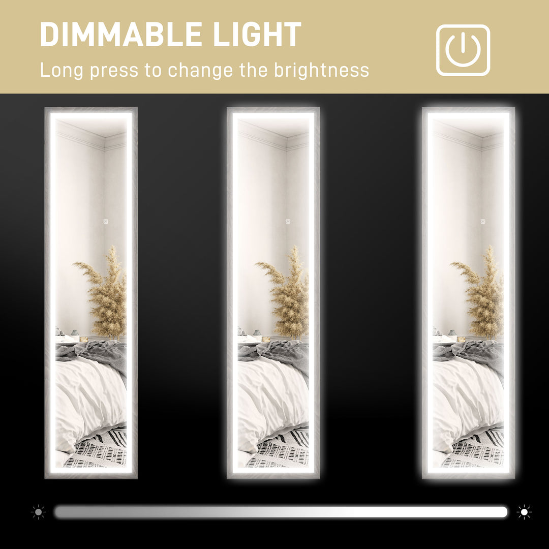 Full Length Mirror, with Adjustable Outer Light, Grey