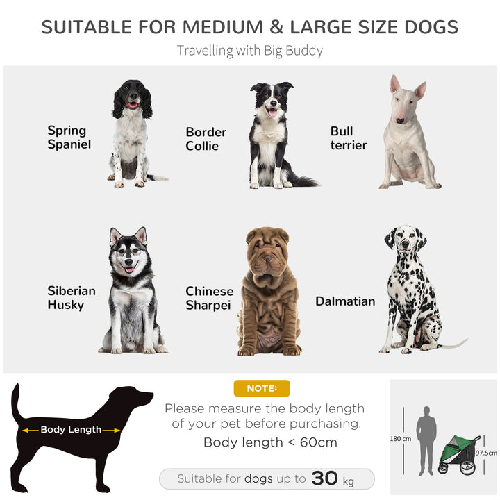 Foldable Pet Stroller, with Washable Cushion, Storage Bags, Safety Leash, for Medium, Large Dogs, Cats - Green