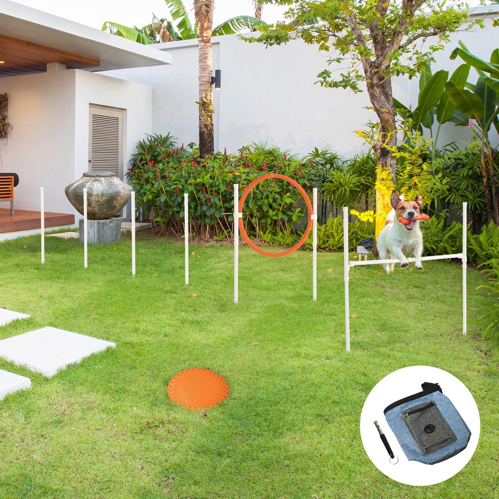 Dog Agility Training Equipment for Dogs with Carry Bag - Multicoloured