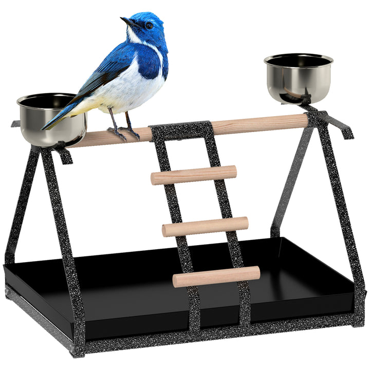 PawHut Bird Play Stand, Portable Training Playground, with Wood Perch, Ladder, Feeding Cups, for Parrots, Macaws, Conures | Aosom UK