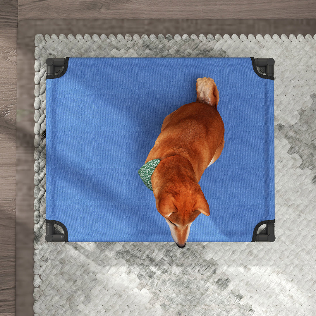 Raised Dog Bed Cat Elevated Lifted Portable Camping w/ Metal Frame Blue (Medium)
