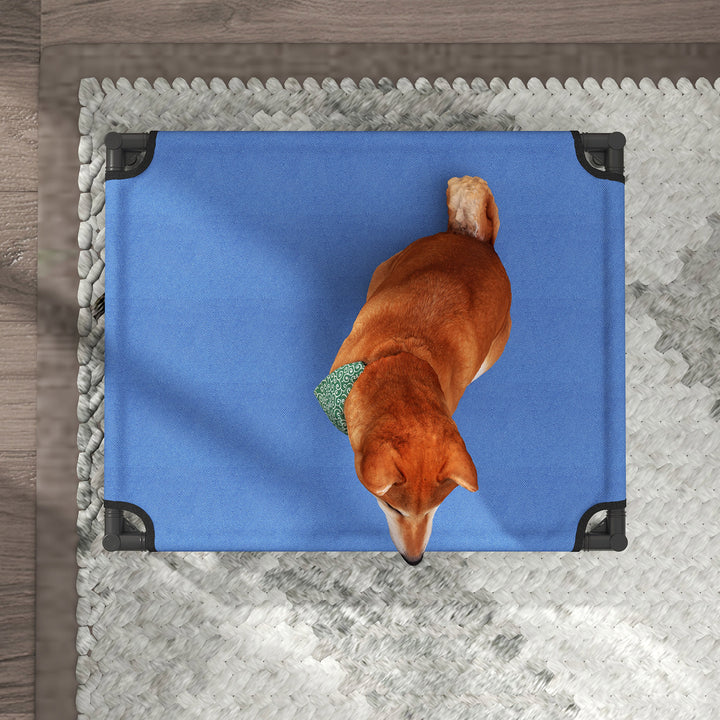 Raised Dog Bed Cat Elevated Lifted Portable Camping w/ Metal Frame Blue (Medium)