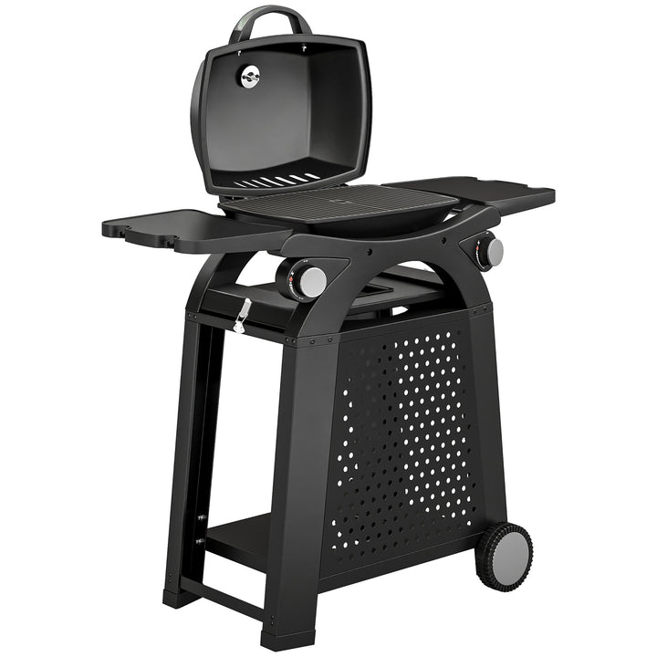 2 Burner Gas Grill with 2 Side Tables, 3.8 KW Barbecue Grill with Cast