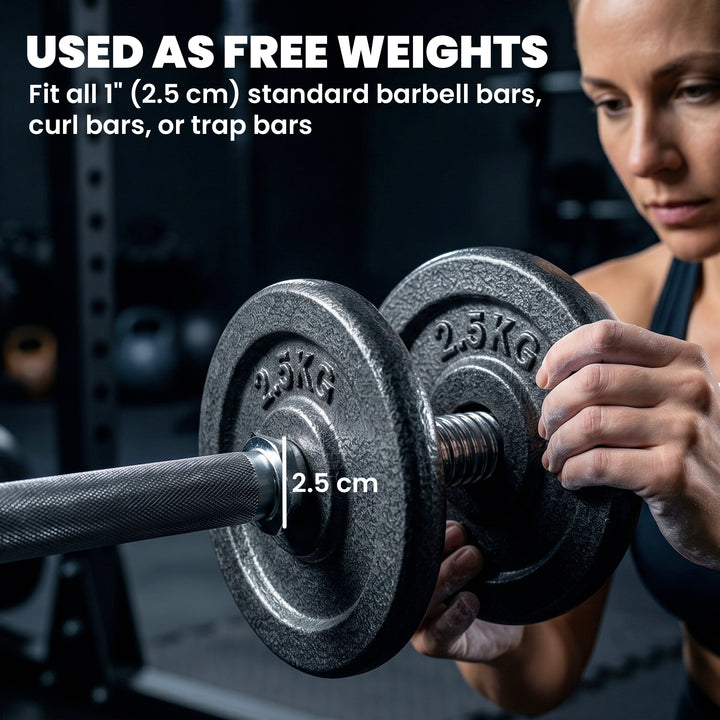 Weight Plates Set, 1"/2.5cm Weight Disc Pair, 4 x 2.5kg Metal Dumbbell