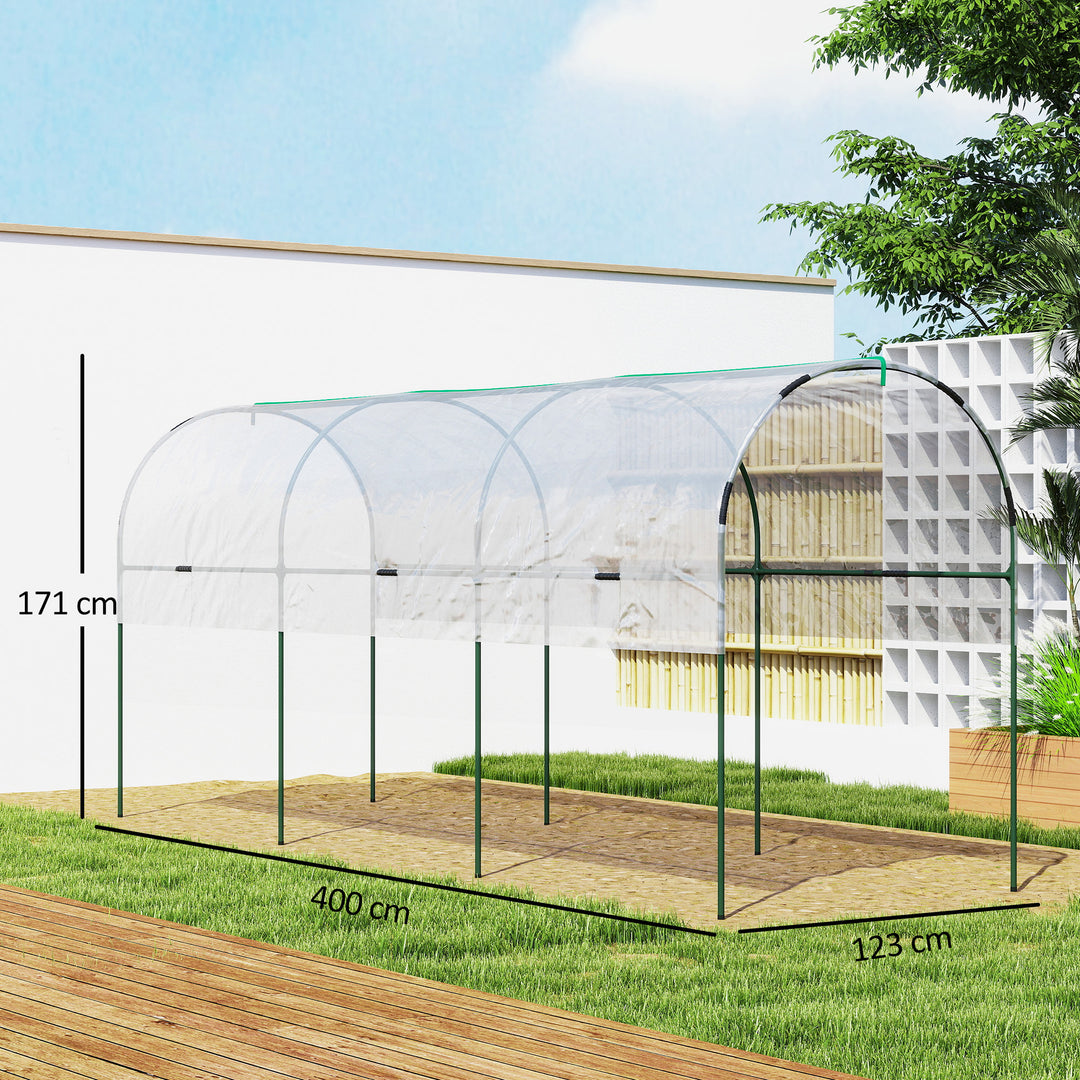 Tunnel Tomato Greenhouse with 4 Hoops and Top Tap, Pointed Bottom and Guy Ropes, 400 x 123 x 171 cm, Clear