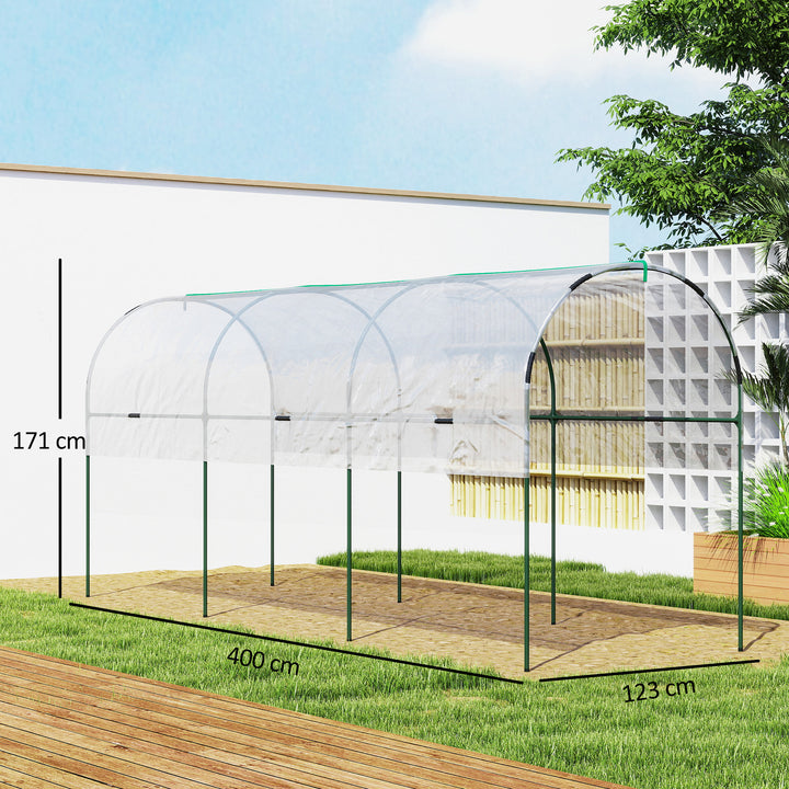 Tunnel Tomato Greenhouse with 4 Hoops and Top Tap, Pointed Bottom and Guy Ropes, 400 x 123 x 171 cm, Clear